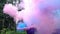 Man with colored smoke bombs in nature. Stock footage. Young man spreads streams of colorful smoke checkers in dense