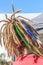 Man with colorful dreadlocks close-up.