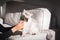 Man combing lovely cute grey longhaired cat. Fluffy cat loves being brushed