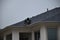 A man contractor worker on roof top working on a cloudy rainy day.standing sitting walking kneeling. fixing roof.rain water system