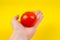 A man cook hand holding a colorful fresh red tomato, isolated on yellow background. White male hand showing a fresh delicious