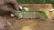 Man cooking zucchini close up