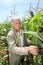 Man in corn field