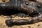 Man covered in oil on the beach at Porto da Barra in Salvador, Bahia, Brazil