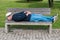 A man covers his face with a hat, lying and relaxing on a bench in a public city park