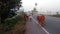 Man with cow and calf in main road