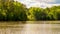 Man in crew boat on lake rowing with trees in the background