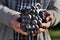 Man crop ripe bunch of black grapes on vine. Male hands picking Autumn grapes harvest for wine making In Vineyard. Cabernet