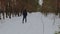 Man cross-country skiing in the woods