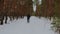 Man cross-country skiing in the woods