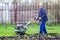 A man cultivates the land with a cultivator in a spring garden