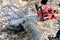 A man cuts a chainsaw trunk and branches of a tree.