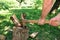 The man cuts firewood with the axe on a green grass.