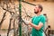 A man cuts grapes close-up. Gardener and pruner for pruning grapes. Autumn and spring pruning of grapes close-up and copy space