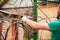 A man cuts grapes close-up. Gardener and pruner for pruning grapes. Autumn and spring pruning of grapes close-up and copy space