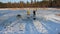 Man Cuts Ice With Chainsaw on the Frozen Lake. Cutting ice on a frozen lake to swim for the holy cross. A man fell into