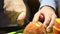 A man cuts a small orange pumpkin with a knife. Close-up shot