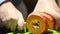 A man cuts a small orange pumpkin with a knife. Close-up shot