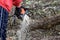 A man cuts a tree with a chainsaw. Pruning trees.