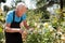 Man cutting back shoots of rose bushes