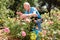 Man cutting back shoots of rose bushes