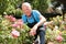 Man cutting back shoots of rose bushes