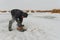 Man cutting chainsaw shell in ice