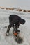 Man cutting chainsaw shell in ice