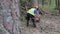 A man is cutting down a tree in the forest. The tree falls on the ground