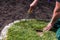 Man cutting the edge of the freshly laid turf