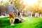 Man cutting grass in his garden using a gasoline powered lawn mower