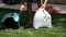 Man cutting the grass with lawn mower and collecting waste grass.