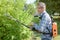 man cutting hedge