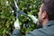 man cutting hedge in park