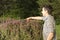 Man cutting and trimming hedges