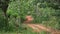 Man cycling in forest in country road. Cross country, mountain bike.