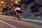 Man cyclist pedaling on a road bike outdoors in sun set