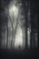 Man in dark mysterious forest with fog on Hallooween