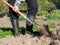 Man digging the garden soil with spade, detail