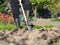 Man digging the garden soil with spade, detail