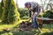 Man digging hole for planting fruit tree in garden