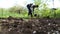 Man digging shovel in the garden