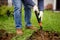 Man diging holes a shovel for planting juniper plants in the yard or garden. Landscape design
