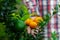 A man displaying on his hand tangerine and citrus fruits. Ripe and unripe citrus fruits