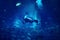 Man diver diving in blue mystic background with fishes