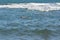 Man dives in the swimming flippers snorkeling mask and tube in the storm waves.