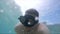 man in diving scuba mask swimming underwater