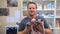 A man doctor holds three thoroughbred cats in a veterinary clinic. Sphynx breed.