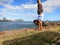 Man does Handstand along shore of Magic Island