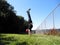 Man does Handstand in Golden Gate Park along fence